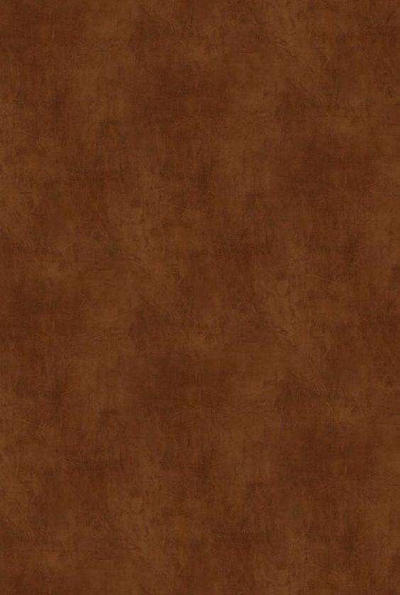 Back drop 8